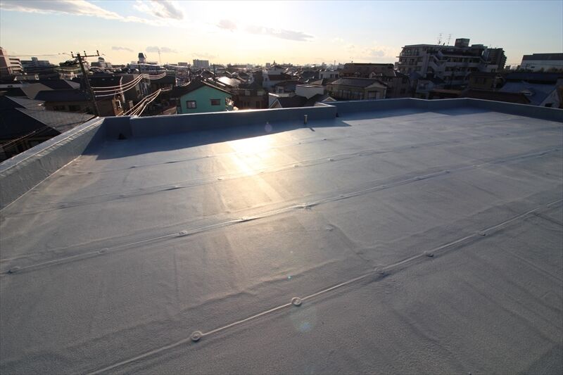 Vision